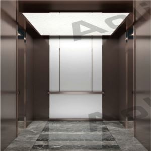 Transportador elevador Z